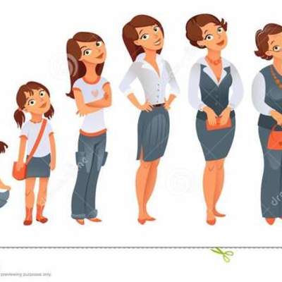 Timeline: Etapas del desarrollo