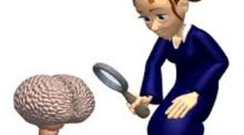 Timeline: Consolidar los eventos históricos de la Pedagogía a través de una línea de tiempo Tarea III-Entrega de actividad