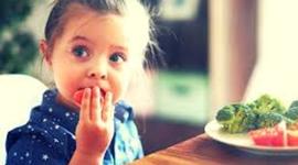 Timeline: Cipriana Zamata