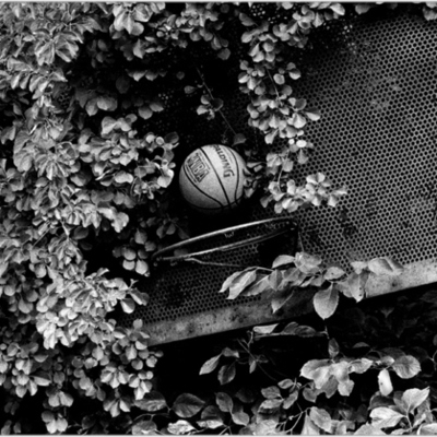 Timeline: Krepšinio istorija