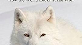 Timeline: Never Cry Wolf