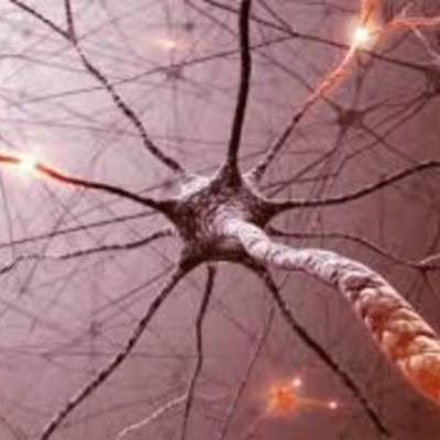 Timeline: De la fisiología nerviosa a la tradición de pensamiento psicobiológica