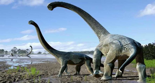 Cómo Se Llaman Los Dinosaurios Que Tienen El Cuello Largo