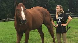 Timeline: Deadly Tsunamis- Laura Withka