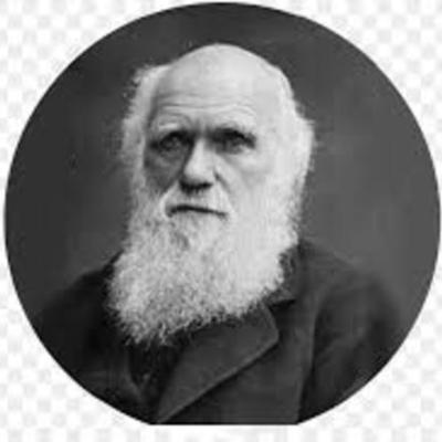 Timeline: Eventos evolutivos