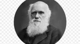 Timeline: Eventos evolutivos