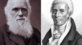 Timeline: LOS DIFERENTES PUNTOS DE VISTA DE LA EVOLUCIÓN