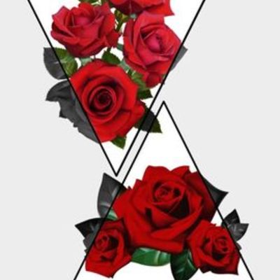 Timeline: Historia de la fotografia