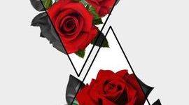 Timeline: Historia de la fotografia