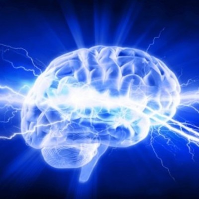 Timeline: ¿De dónde viene y para dónde va el cerebro?