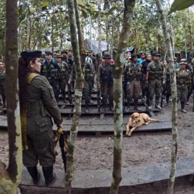 Timeline: Inicios De Las Guerrillas Colombianas