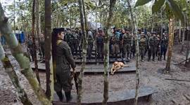 Timeline: Inicios De Las Guerrillas Colombianas