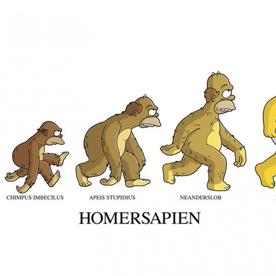 Timeline: La historia de la vida