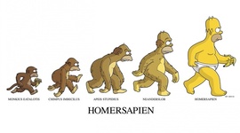 Timeline: La historia de la vida