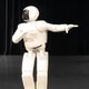 Asimo dab