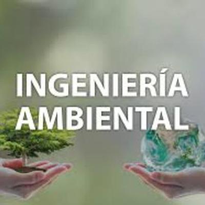 Timeline: Historia Ingeniería Ambiental