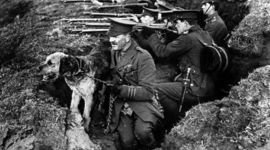 Timeline: World War 1