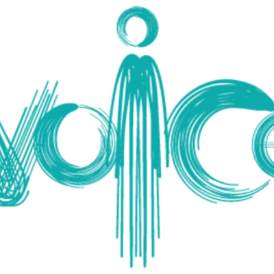 Timeline: Highlevel VoC Journey