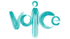 Timeline: Highlevel VoC Journey