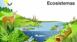 Timeline: ecosistemas