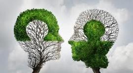 Timeline: Línea del tiempo filosófica