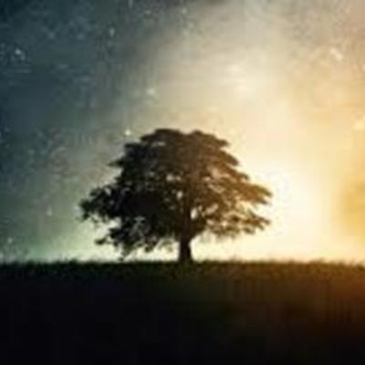 Timeline: Timeline project