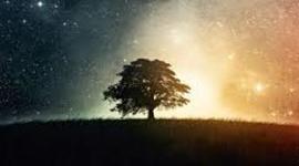 Timeline: Timeline project