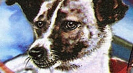 Timeline: Развитие космоса