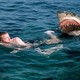 Sharkattack 1778841b