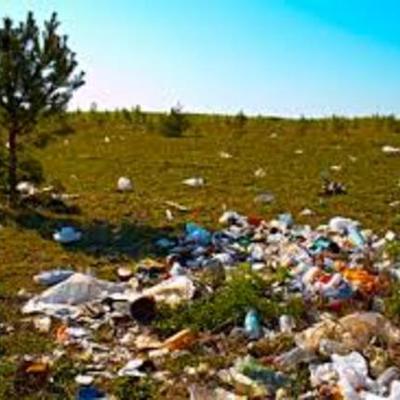 Timeline: Relación entre la globalización y el medio ambiente y sus consecuencias