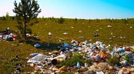 Timeline: Relación entre la globalización y el medio ambiente y sus consecuencias