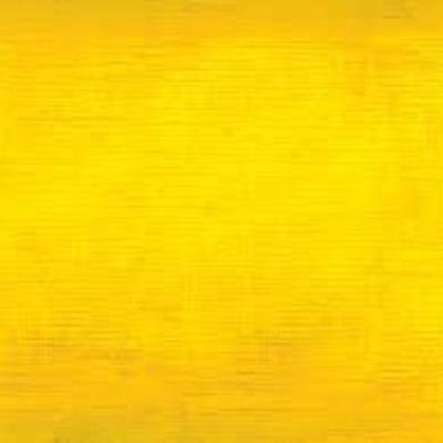 Timeline: Ralph Lane Colony