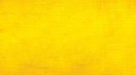 Timeline: Ralph Lane Colony