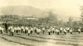 Timeline: Inicios de la educación en Colombia