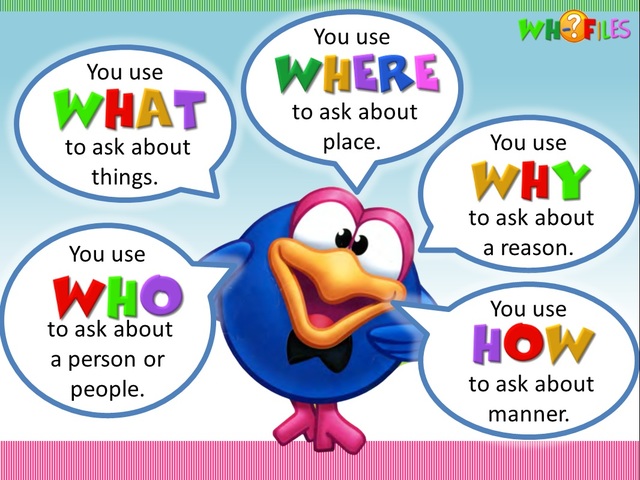 HOW TO MAKE A QUESTION IN ENGLISH? - WH? QUESTIONS. timeline