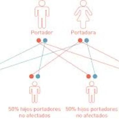 Timeline: Síndromes por alteración del ADN