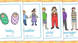 Timeline: Our Life Cycle