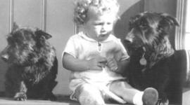 Timeline: The Lindbergh kidnapping