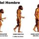 Historia de la evolucion del hombre