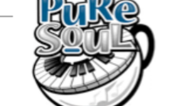 Timeline: Pure Soul Promotional Plan  Brandon Wambach