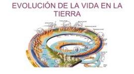 Timeline: Evolución de la vida en la tierra