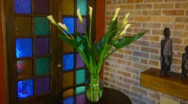 Timeline: Flowers de colors