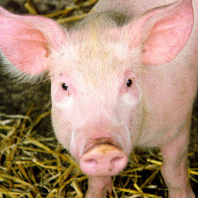 Timeline: Generación de los ordenadores. Pablo Gil y Fran Torralbo