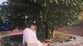 Timeline: Mi línea del tiempo