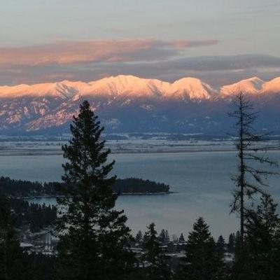 Timeline: Megan Bondy