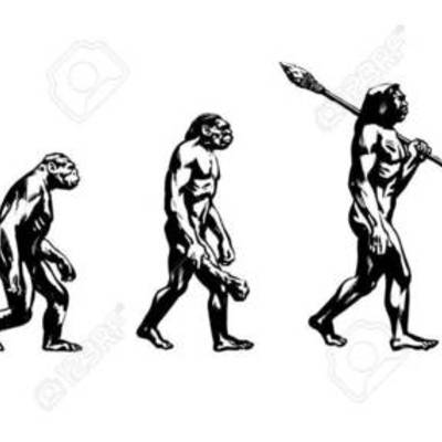 Timeline: Evolución del hombre