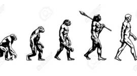 Timeline: Evolución del hombre
