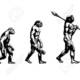 Evolucion papa