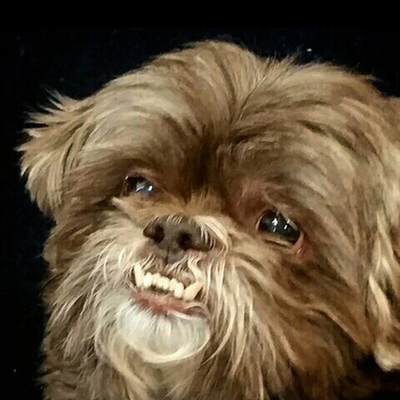 Timeline: Art through the ages by John De Muro