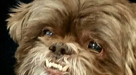 Timeline: Art through the ages by John De Muro